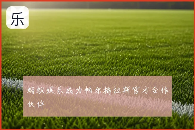 蚂蚁娱乐成为帕尔梅拉斯官方合作伙伴