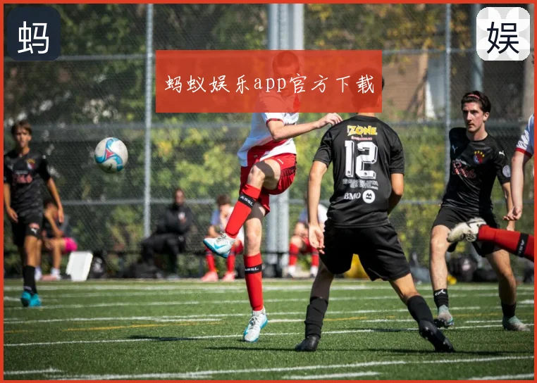 蚂蚁娱乐app官方下载